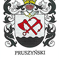 Логотип улица Прушинских