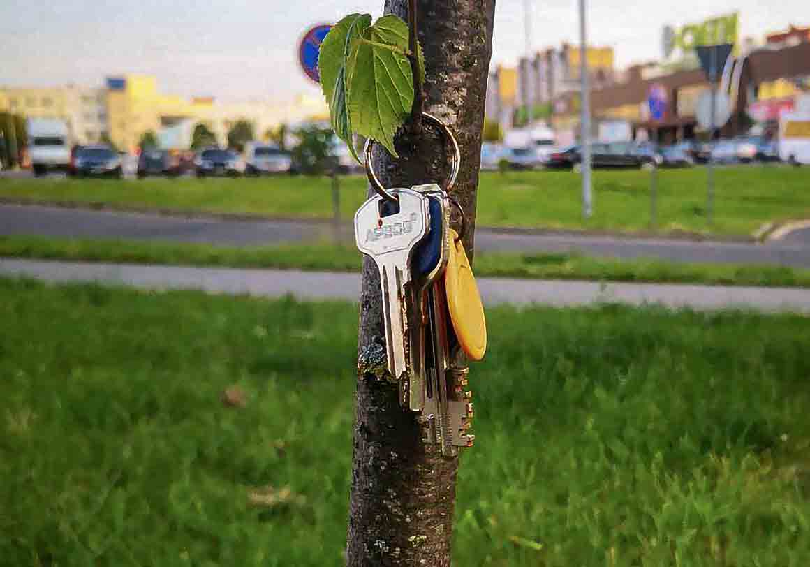 Утерянные ключи на дереве